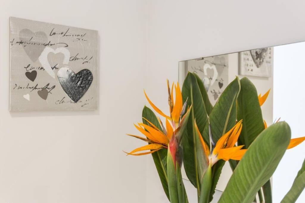 Cosy Apartment ファロ エクステリア 写真